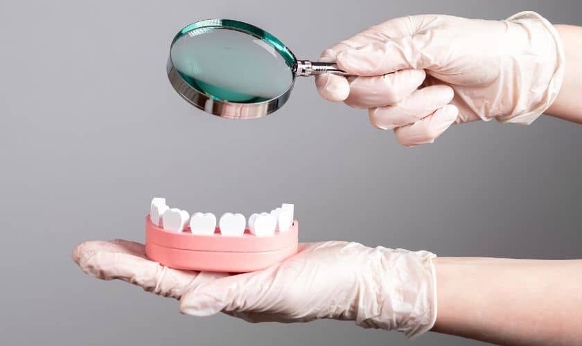 Dentist examining dental model with magnifying glass to demonstrate preventive care techniques.