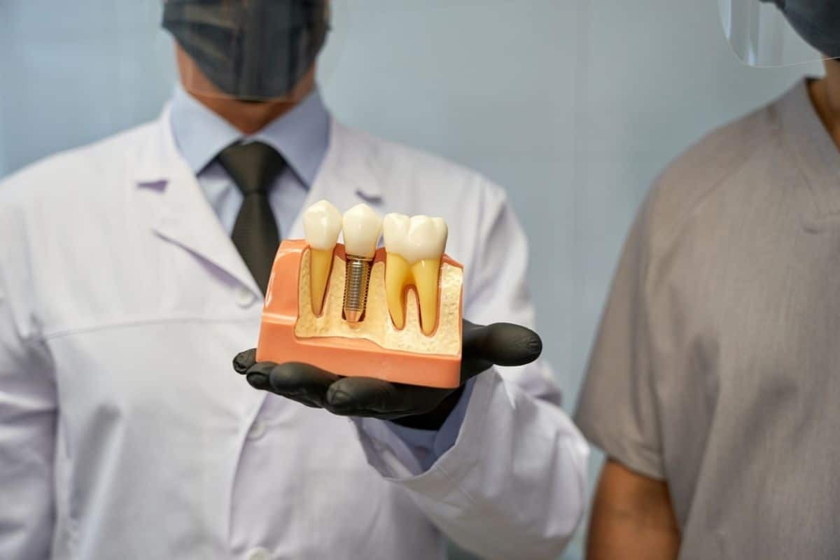 Dentist displaying dental implant model showing implant placement between natural teeth in Paradise Valley.